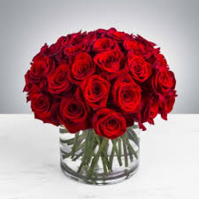 25 red roses in modern vase